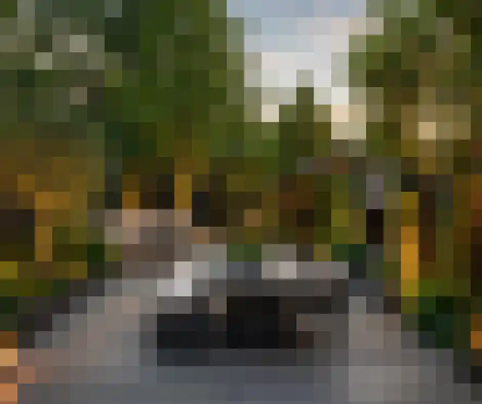 Grote Dijlakker 26 Bolsward thumbnail 18