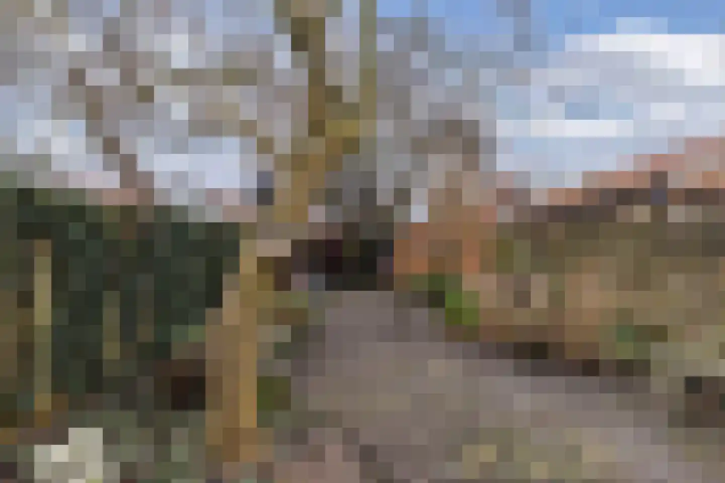 Grote Dijlakker 26 Bolsward thumbnail 19