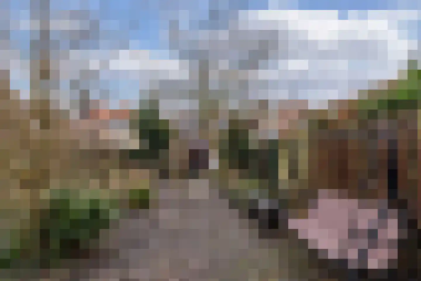 Grote Dijlakker 26 Bolsward thumbnail 20