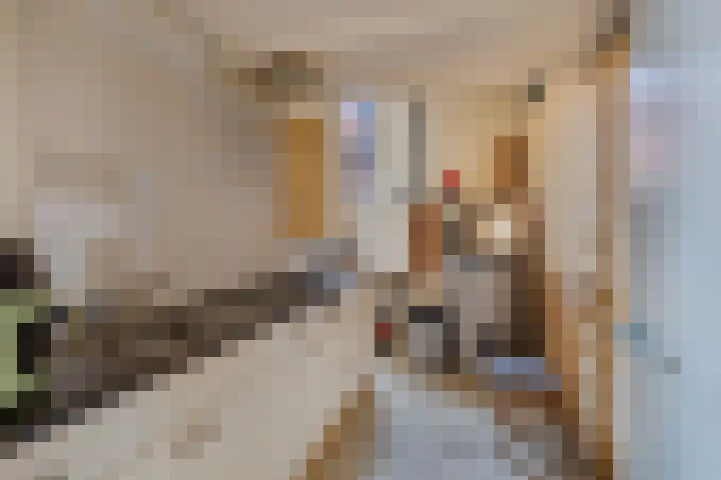 Grote Dijlakker 26 Bolsward thumbnail 36