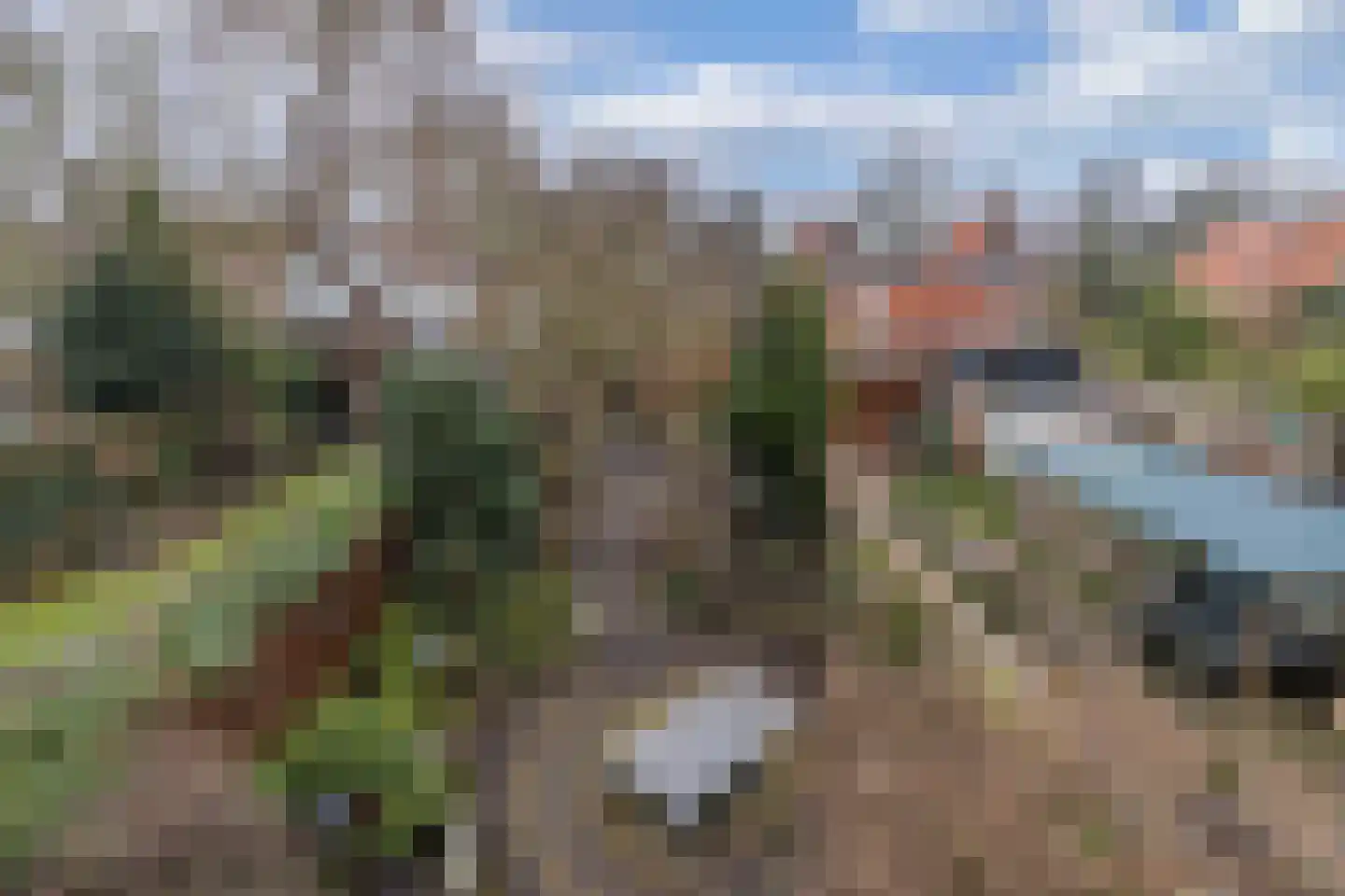 Grote Dijlakker 26 Bolsward thumbnail 39