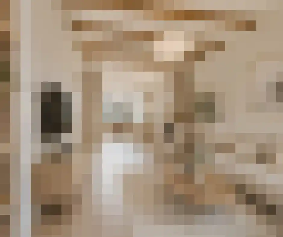 Grote Dijlakker 26 Bolsward thumbnail 8