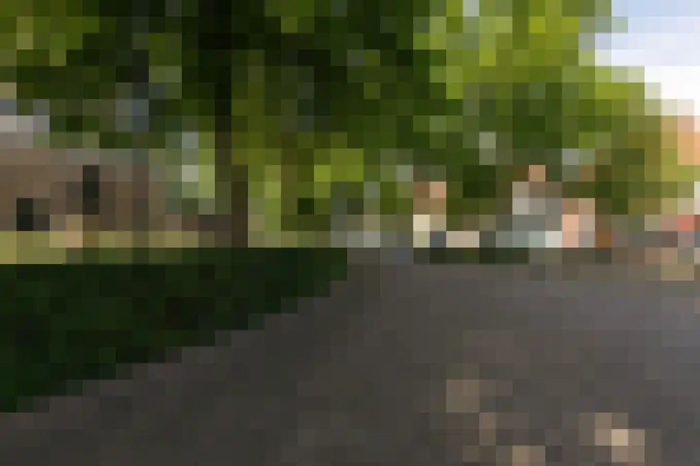 Grote Dijlakker 56 Bolsward thumbnail 4