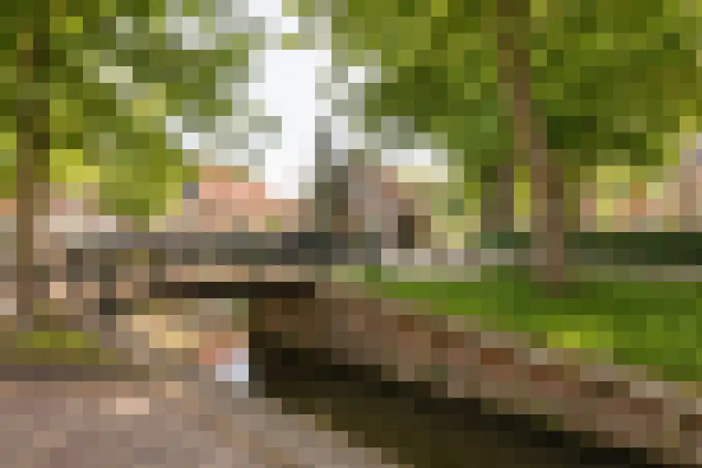 Grote Dijlakker 56 Bolsward thumbnail 51