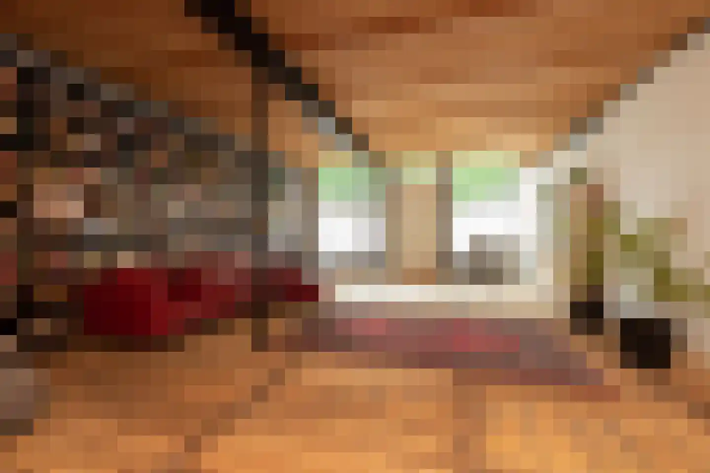 Grote Dijlakker 56 Bolsward thumbnail 7