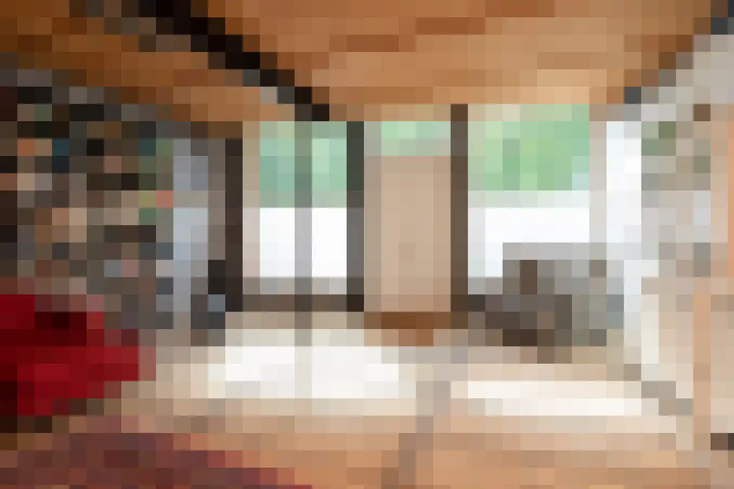 Grote Dijlakker 56 Bolsward thumbnail 8