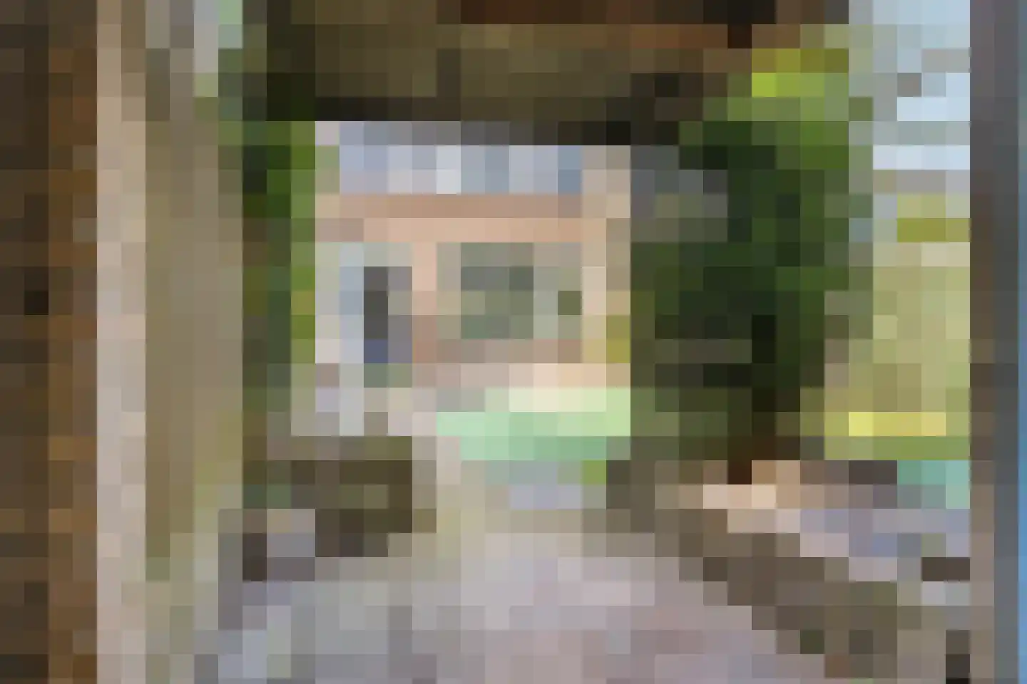 Grote Doelenlaan 41 Sint-Oedenrode thumbnail 24