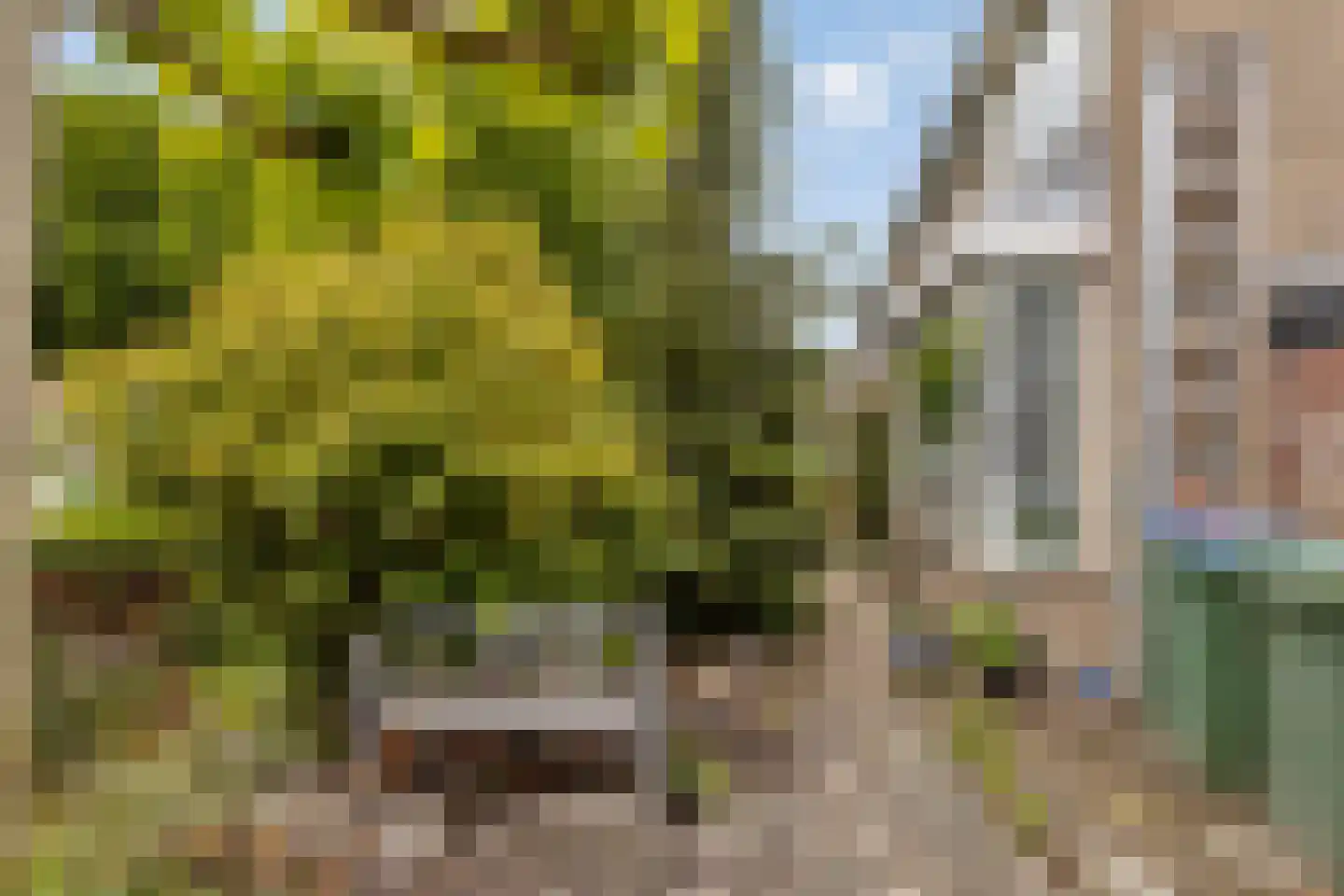 Grote Doornbos 28 Breda thumbnail 20