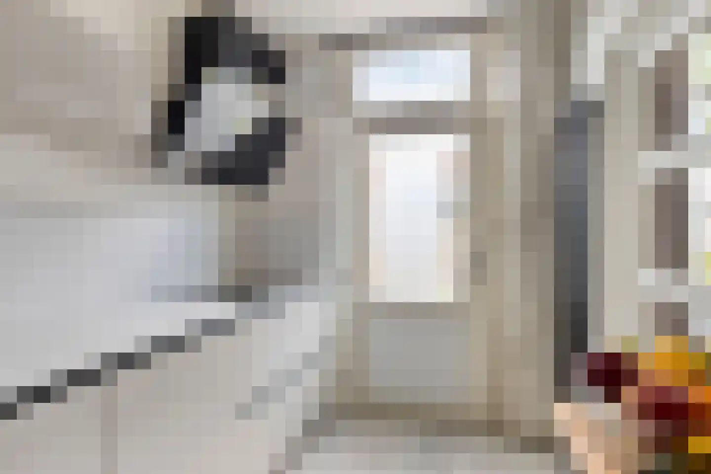 Grote Doornbos 28 Breda thumbnail 6