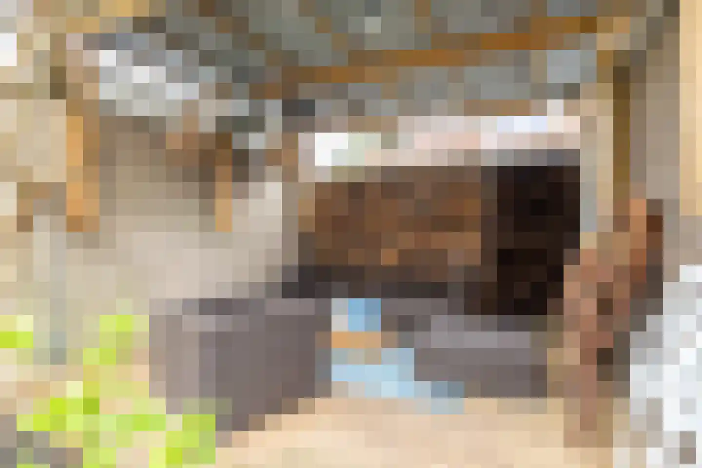 Grote Doornbos 37 Breda thumbnail 25