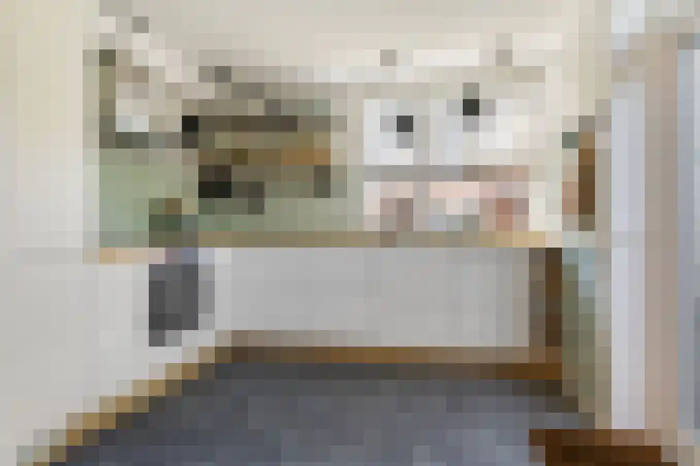 Grote Doornbos 38 Breda thumbnail 12