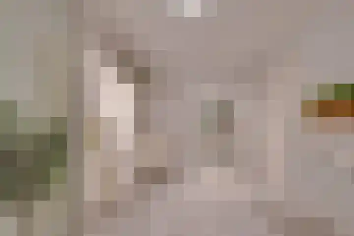 Grote Dries 24 Holtum thumbnail 20