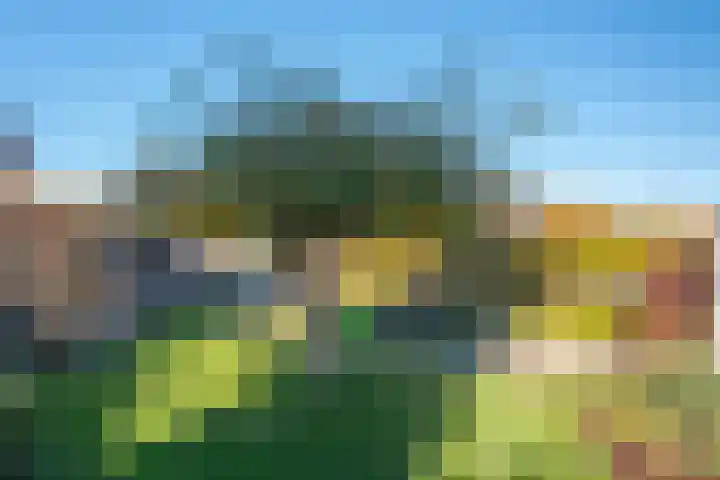 Grote Dries 24 Holtum thumbnail 32