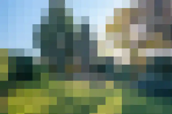Grote Dries 24 Holtum thumbnail 34
