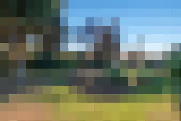 Grote Dries 24 Holtum thumbnail 35