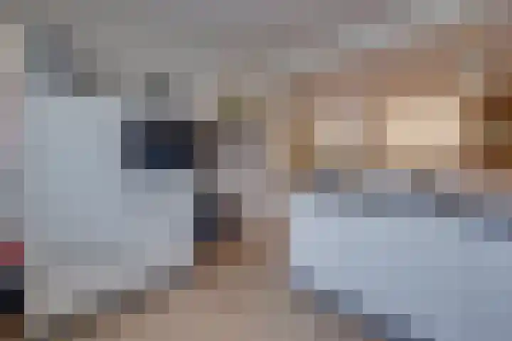 Grote Dries 24 Holtum thumbnail 7