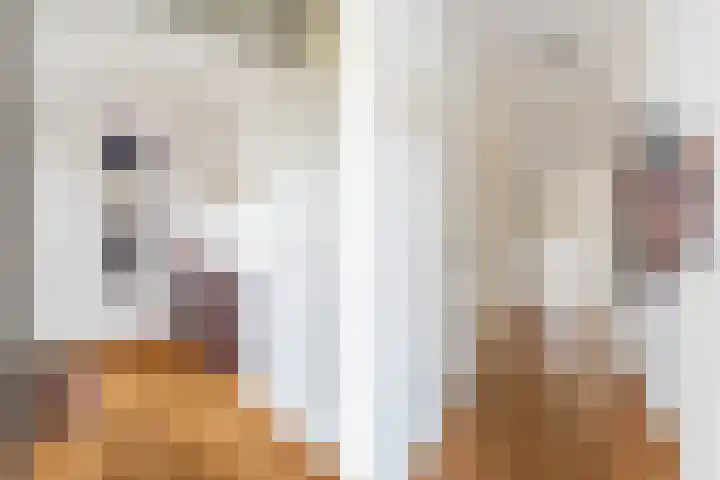 Grote Dries 26 Bavel thumbnail 17