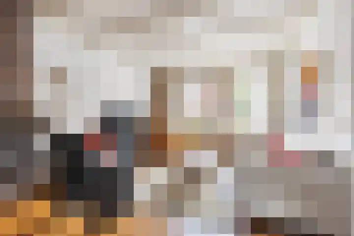 Grote Dries 26 Bavel thumbnail 23