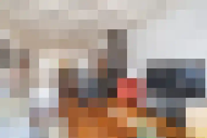 Grote Dries 26 Bavel thumbnail 24