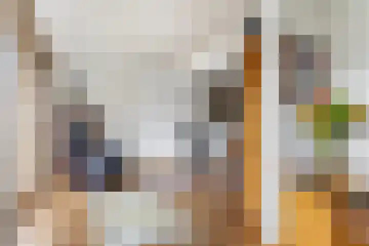 Grote Dries 26 Bavel thumbnail 27