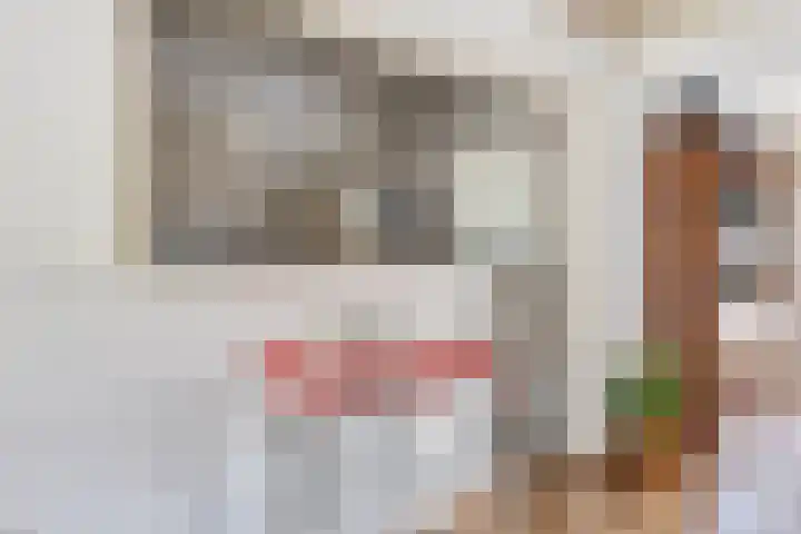 Grote Dries 26 Bavel thumbnail 31