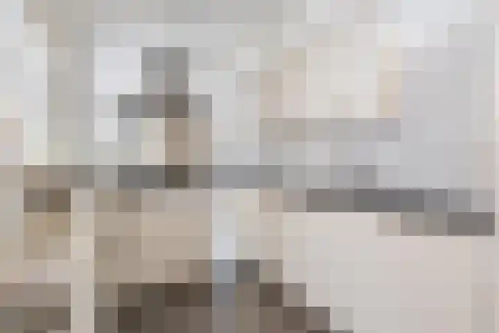 Grote Dries 26 Bavel thumbnail 33
