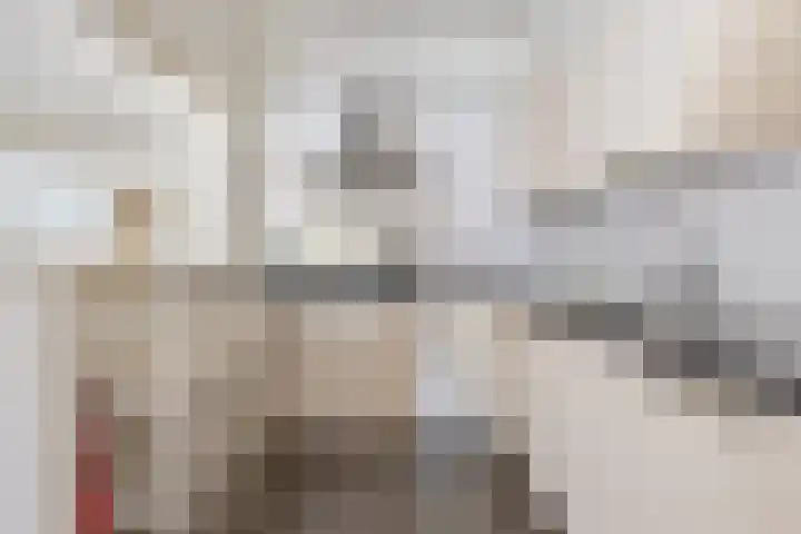 Grote Dries 26 Bavel thumbnail 34