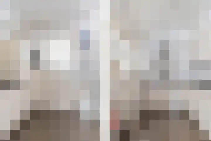 Grote Dries 26 Bavel thumbnail 35