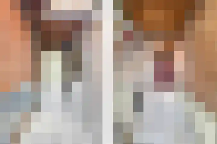 Grote Dries 26 Bavel thumbnail 39