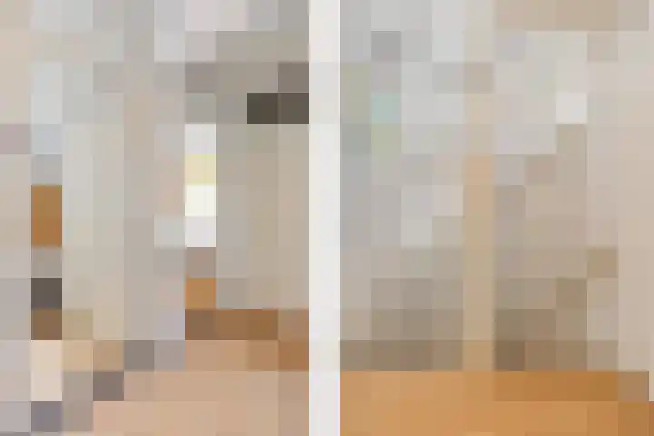 Grote Dries 26 Bavel thumbnail 40