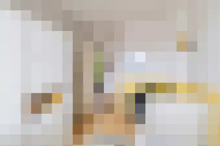Grote Dries 26 Bavel thumbnail 44
