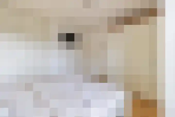 Grote Dries 26 Bavel thumbnail 48