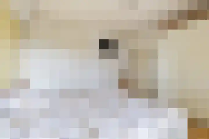 Grote Dries 26 Bavel thumbnail 49