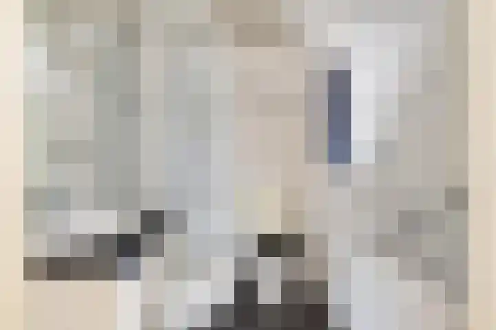 Grote Dries 26 Bavel thumbnail 5