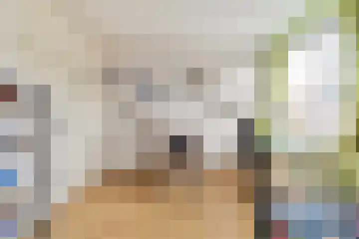 Grote Dries 26 Bavel thumbnail 51
