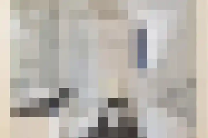 Grote Dries 26 Bavel thumbnail 55
