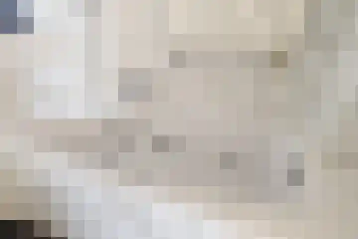 Grote Dries 26 Bavel thumbnail 56