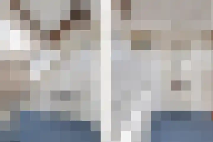 Grote Dries 26 Bavel thumbnail 59