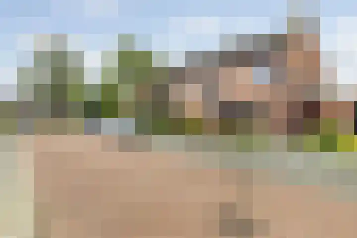 Grote Dries 26 Bavel thumbnail 6