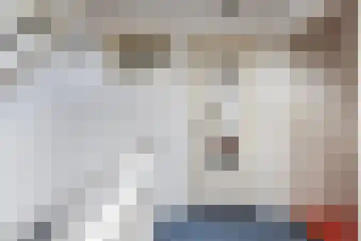 Grote Dries 26 Bavel thumbnail 60