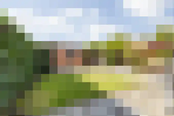 Grote Dries 26 Bavel thumbnail 67
