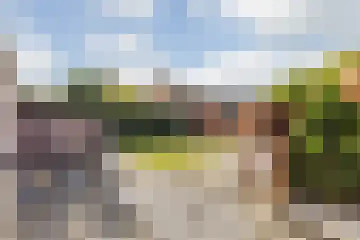 Grote Dries 26 Bavel thumbnail 69