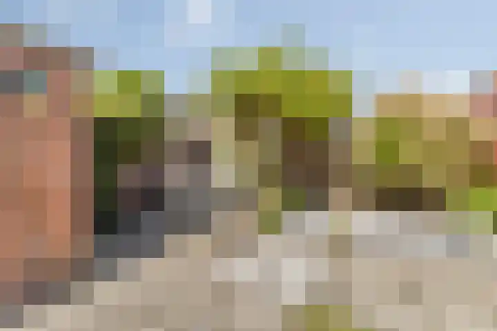 Grote Dries 26 Bavel thumbnail 71