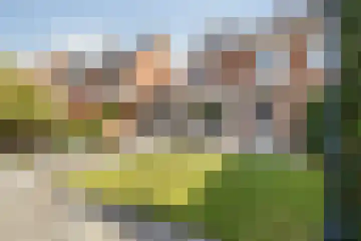 Grote Dries 26 Bavel thumbnail 72