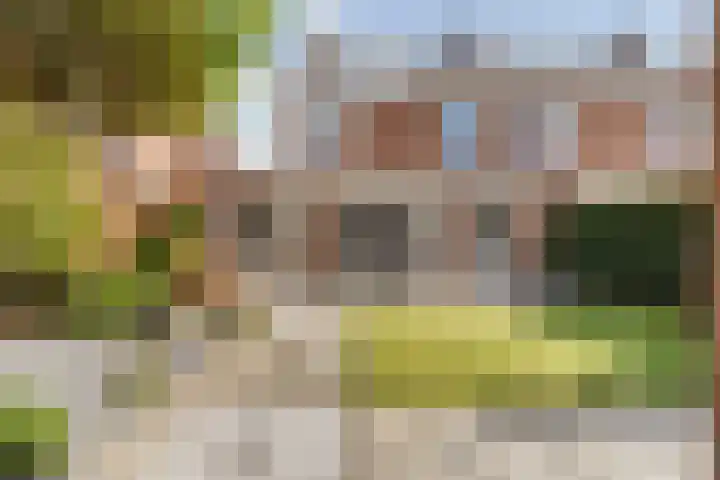 Grote Dries 26 Bavel thumbnail 74
