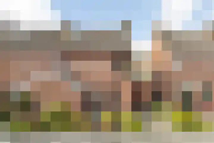 Grote Dries 26 Bavel thumbnail 8