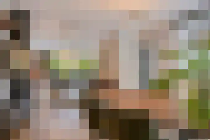 Grote Dries 37 Bavel thumbnail 10
