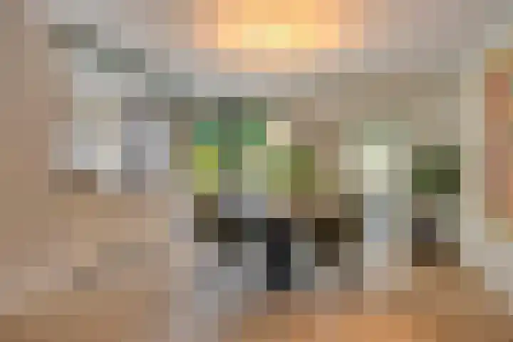 Grote Dries 37 Bavel thumbnail 11