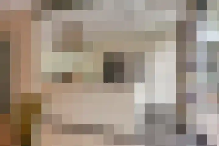 Grote Dries 37 Bavel thumbnail 12