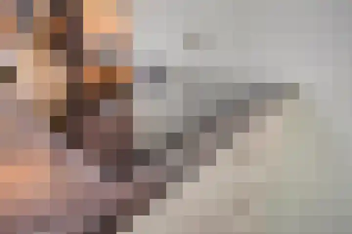 Grote Dries 37 Bavel thumbnail 13